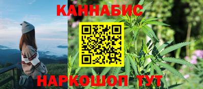 стафф Гай
