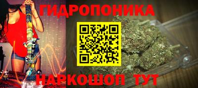 шишки Волжск
