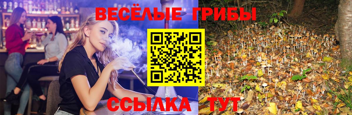Галлюциногенные грибы Cubensis Тельмана