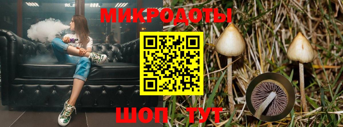 Тельмана  Псилоцибиновые грибы MAGIC MUSHROOMS  Вход с VPN 